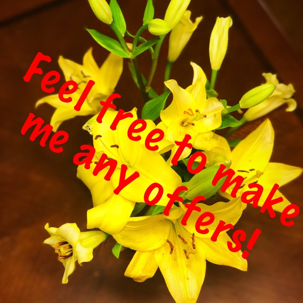 I’m very reasonable! shoot me an offer! 💛🦋